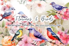 Flowers Birds Watercolor Sublimation Product Image 1