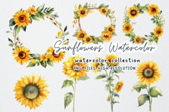 Sunflowers Watercolor Clipart Product Image 1