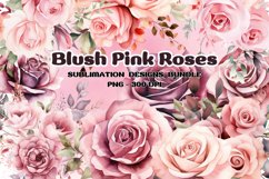 Pink Rose Flowers Sublimation Bundle Clipart Product Image 1