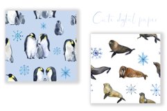 Seamless pattern. Winter Digital paper. Seal and Penguins Product Image 4