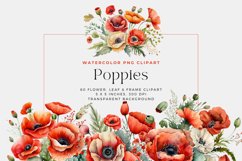 60 Poppies Flowers PNG, Watercolor Floral Clipart Bouquets Product Image 2