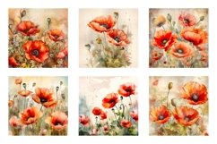 Watercolor Poppy Flower Backgrounds