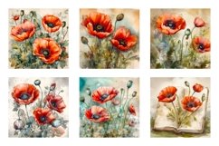 Watercolor Poppy Flower Backgrounds