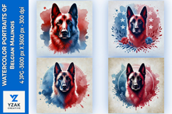 Watercolor Portraits of Belgian Malinois Product Image 1