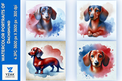 Watercolor Portraits of Dachshund Product Image 1