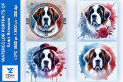 Watercolor Portraits of Saint Bernard Product Image 1