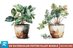 watercolour clipart,digital watercolor,free commercial use,ai illustration,individual elements,instant download,summer png bundle,summer clipart,Floral clipart,House Plants Clipart,outdoor houseplants,Potted flowers,Potted plant clipart,watercolour clipar