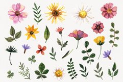 Watercolor flower clipart PNG. Wild pressed flower Product Image 2