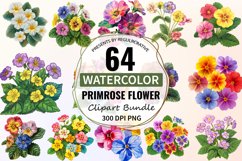 Watercolor Primrose Flower Clipart Bundle Product Image 1