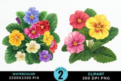 Watercolor Primrose Flower Clipart Bundle Product Image 2