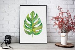 Watercolor Monstera Leaf Printable Wall Art, Illustration Product Image 1