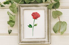 Watercolor Red Rose Printable Wall Art, Illustration Product Image 1