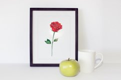 Watercolor Red Rose Printable Wall Art, Illustration Product Image 2