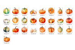 Watercolor Pumpkin Clipart