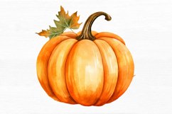 Pumpkin Watercolor Sublimation clipart Product Image 5