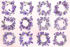 Watercolor Purple Crocus Flower Wreaths Clipart Bundle Product Image 2