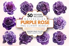 Watercolor Purple Rose Clipart Bundle Product Image 1