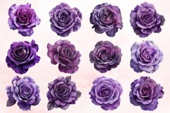Watercolor Purple Rose Clipart Bundle Product Image 2