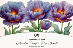 Watercolor Purple Tulip Clipart Product Image 1