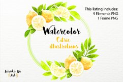 Watercolor Tropical Lemon Fruit Clipart set. 9 Citric art Product Image 3
