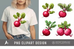 Watercolor Radish Clipart Product Image 1