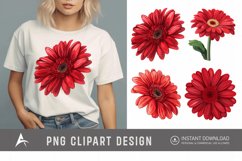 Watercolor Red Gerbera Daisy Flowers Clipart Product Image 1