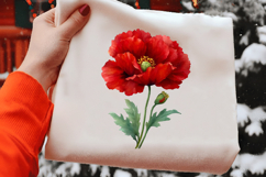 Watercolor Red Poppy Flower Clipart Product Image 2