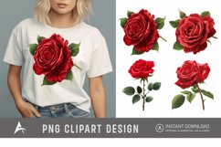 Watercolor Red Rose Clipart Product Image 1