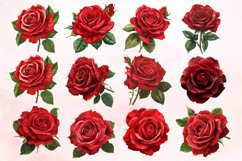 Watercolor Red Rose Clipart Bundle Product Image 2
