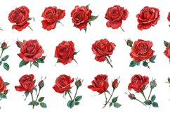 Watercolor red roses. A set of 20 cliparts. Product Image 2