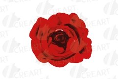 Watercolour Red Roses and Green Leaves invitation design png Product Image 8