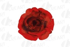 Watercolour Red Roses and Green Leaves invitation design png Product Image 11