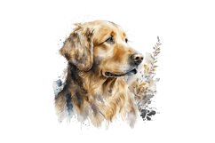 red golden retriever,golden retriever,golden retriever png,red golden clipart,red golden png,golden cliaprt,dog clipart,dog png,dog wall art,dog illustration,watercolor dog,puppy clipart,puppy,digital illustration,watercolor clipart,printable art,stock im