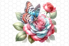 Watercolor Rose and Butterfly Clipart Sublimation PNG