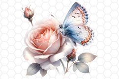 Watercolor Rose and Butterfly Clipart Sublimation PNG