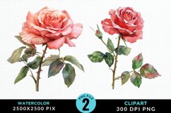 Watercolor Rose Illustration PNG Clipart Product Image 1