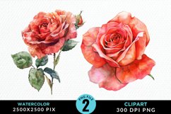 Watercolor Rose Sublimation PNG Clipart Product Image 1