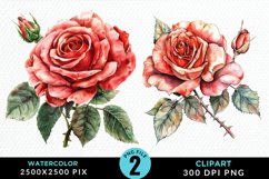 Watercolor Rose Illustration PNG Clipart Product Image 1