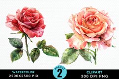 Watercolor Rose Sublimation PNG Clipart Product Image 1