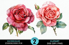Watercolor Rose Illustration PNG Clipart Product Image 1