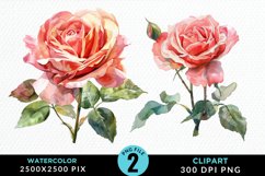 Watercolor Rose Illustration PNG Clipart Product Image 1