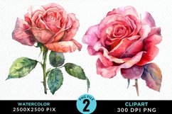 Watercolor Rose Illustration PNG Clipart Product Image 1
