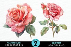 Watercolor Rose Sublimation PNG Clipart Product Image 1