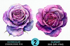 Watercolor Rose Vibrant Purple PNG Set Clipart Product Image 1