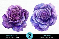 Watercolor Rose Vibrant Purple PNG Set Clipart Product Image 1