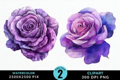 Watercolor Rose Vibrant Purple Graphic Clipart Product Image 1