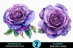 Watercolor Rose Vibrant Purple PNG Set Clipart Product Image 1