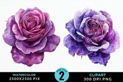 Watercolor Rose Vibrant Purple PNG Set Clipart Product Image 1