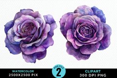 Watercolor Rose Vibrant Purple PNG Set Clipart Product Image 1