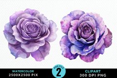 Watercolor Rose Vibrant Purple Graphic Clipart Product Image 1